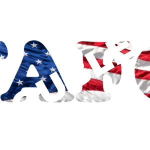 American Flag Embossed FAFO DTF Print