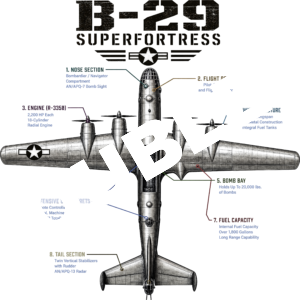 US Air Force B-29 DTF Print