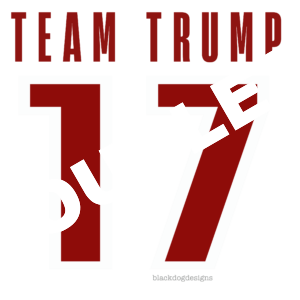 Team Trump 17 v2 DTF Print