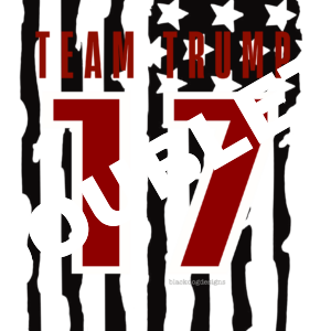 Team Trump 17 DTF Print