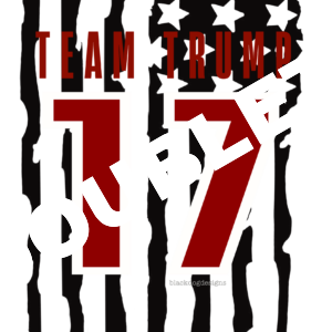 Team Trump 17 DTF Print