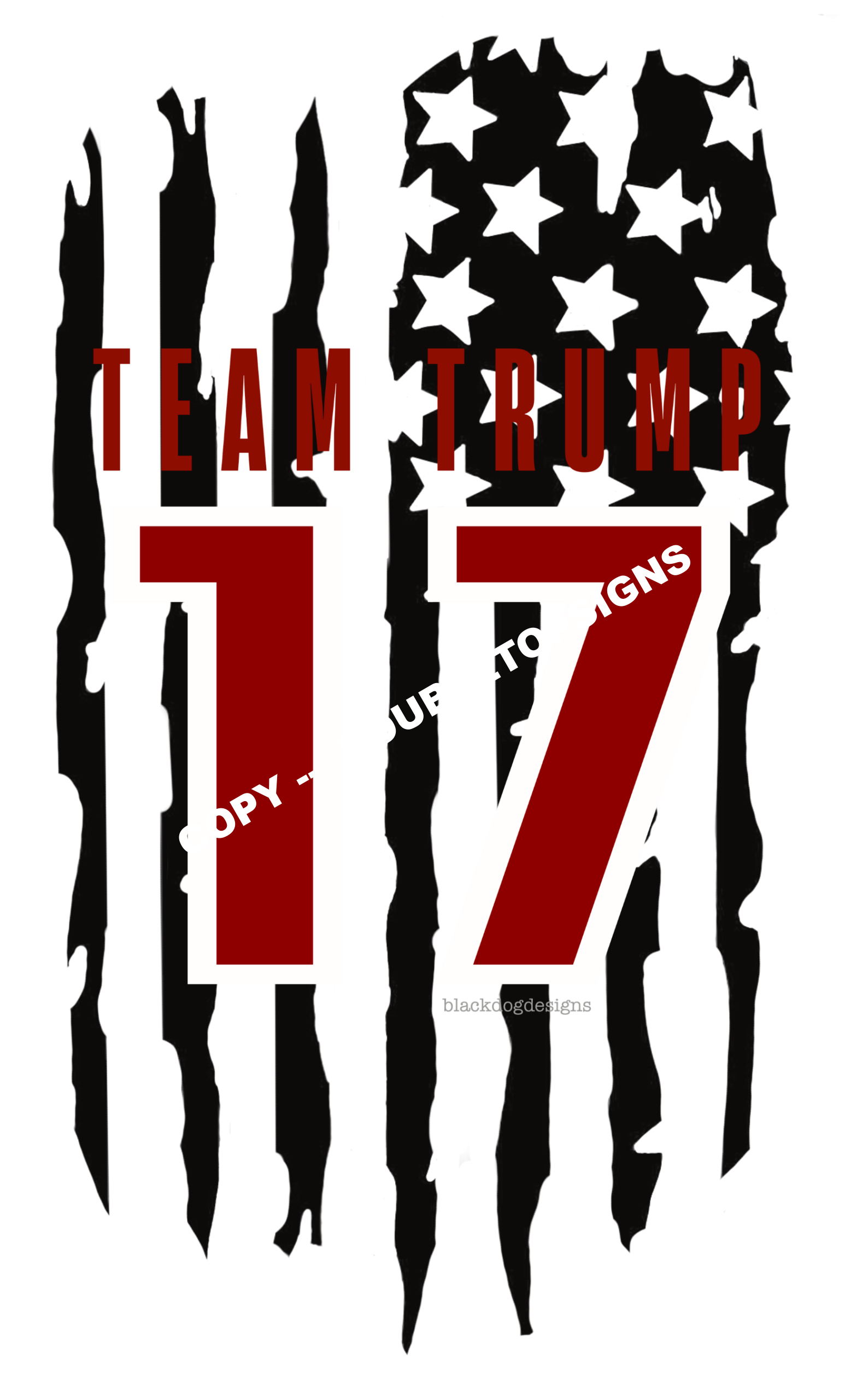 Team Trump 17 DTF Print